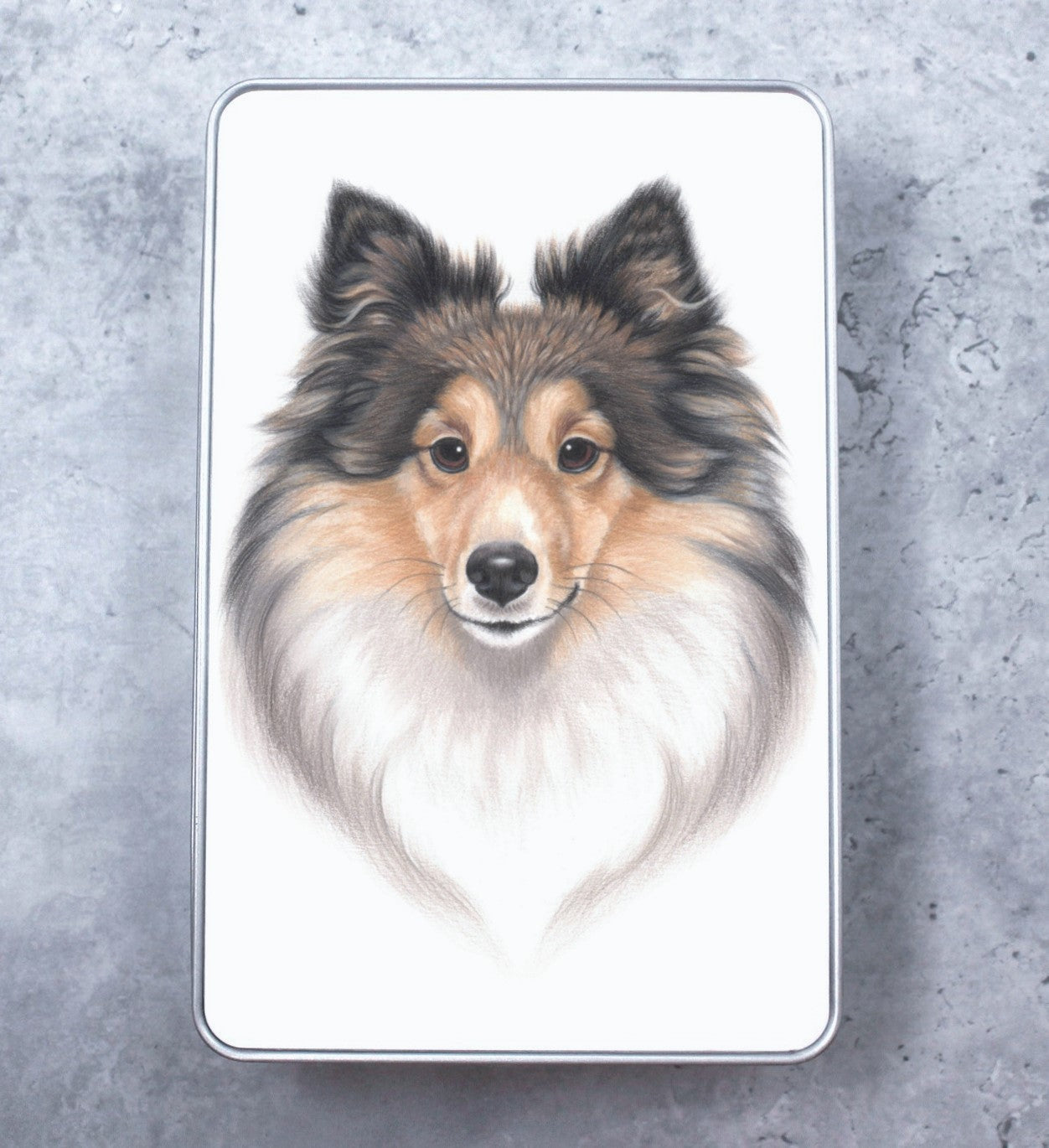 Shetland Sheepdog / Sheltie - Tin Box (Dog Breeds)