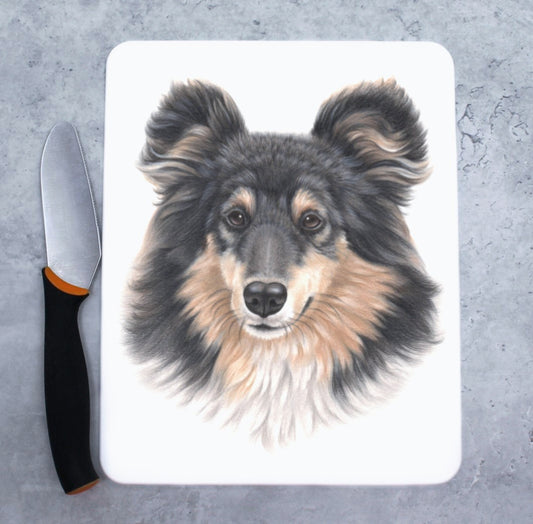 Skärbräda Collie Tricolor (hundraser)