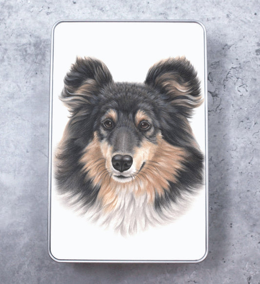 Collie Tricolor Tin Box (Dog Breeds)