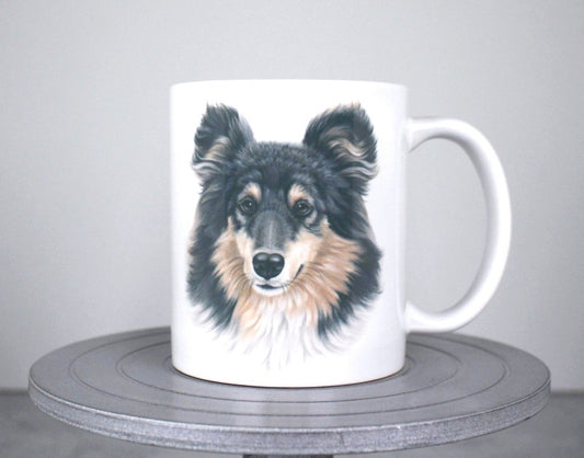 Collie Tricolor -Muki (Koirarodut)