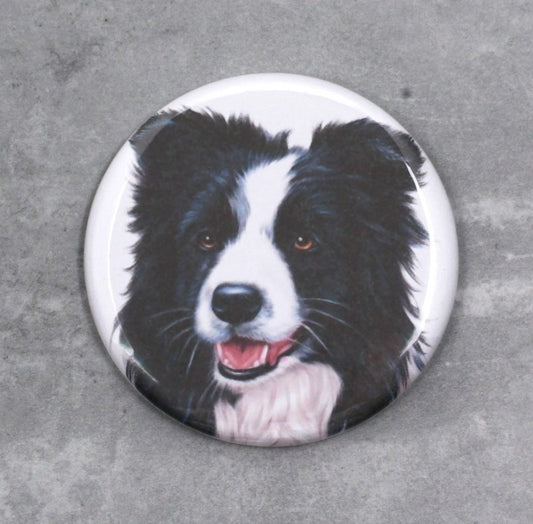 Border Collie - Button (Hundraser)