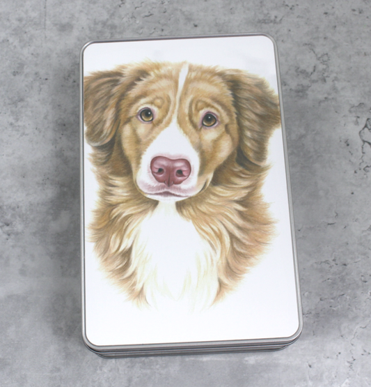 Nova Scotia Duck Tolling Retriever / Toller - Tin Box (Dog Breeds)