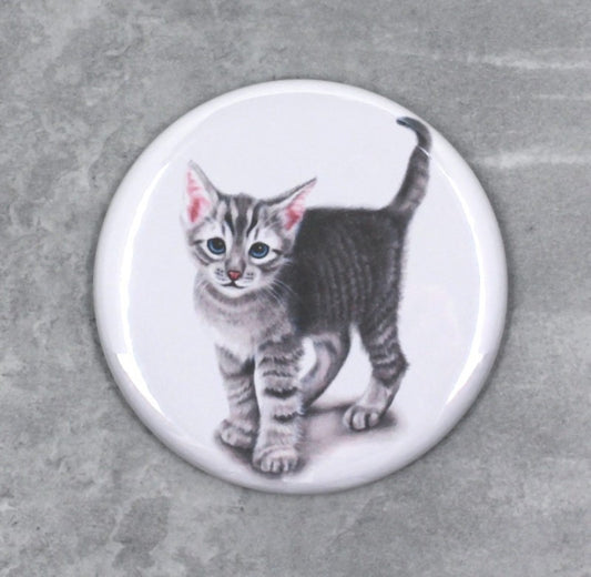 Grå kattunge - Button (Kattraser)