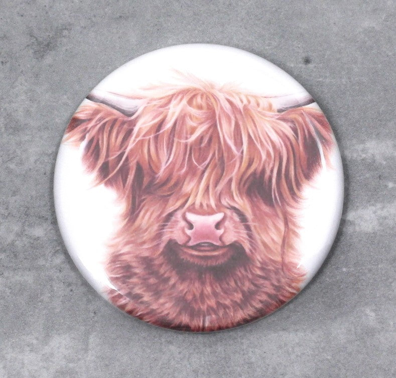 Ko Highland Cattle - Knapp