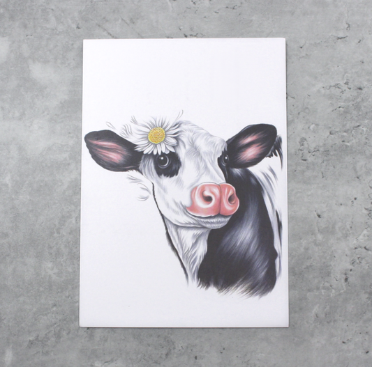 Lehmä Mustavalkoinen -Postikortti