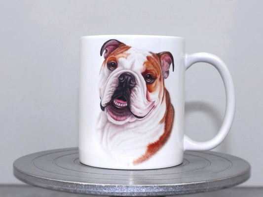 Englannin Bulldog -Muki (Koirarodut)