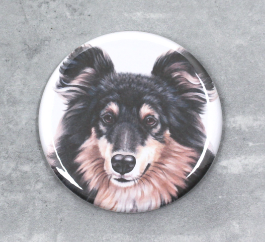 Collie Tricolor -Nappi (Koirarodut)