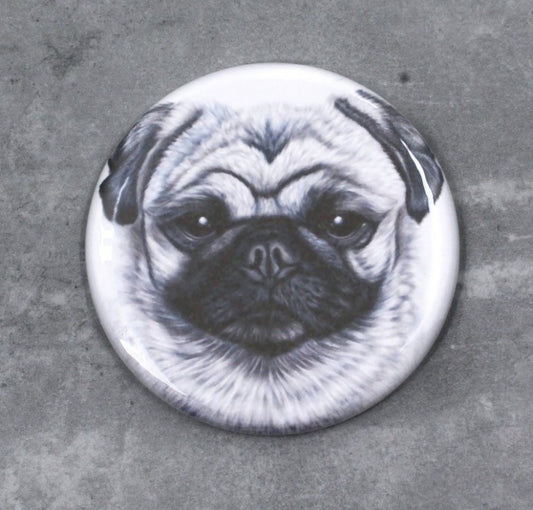 Mops-ljusknapp (hundraser)
