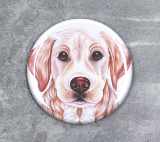 Labrador Retriever-ljusknapp (hundraser)