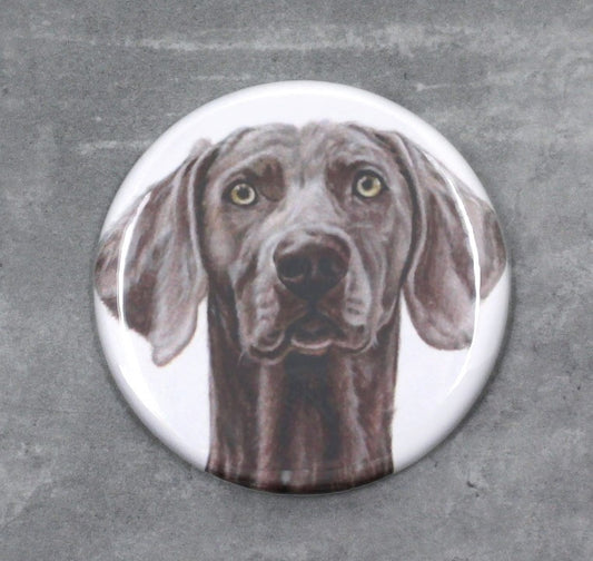 Weimaraner - Button (Hundraser)