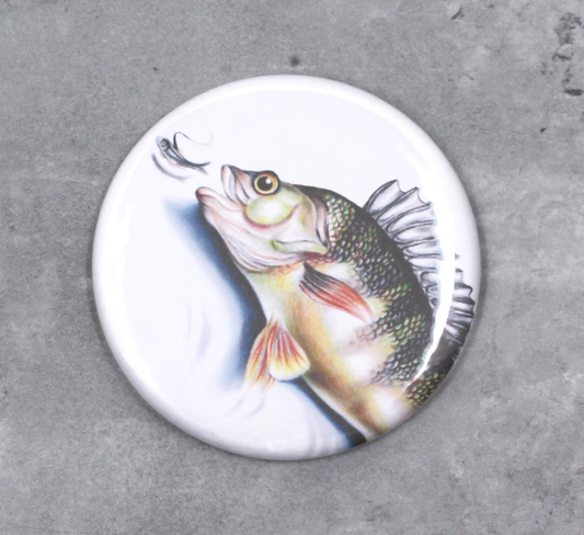 Abborre - Knapp (Fisk)