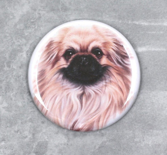 Tibetansk spaniel / Tipsu-Nappi (hundraser)