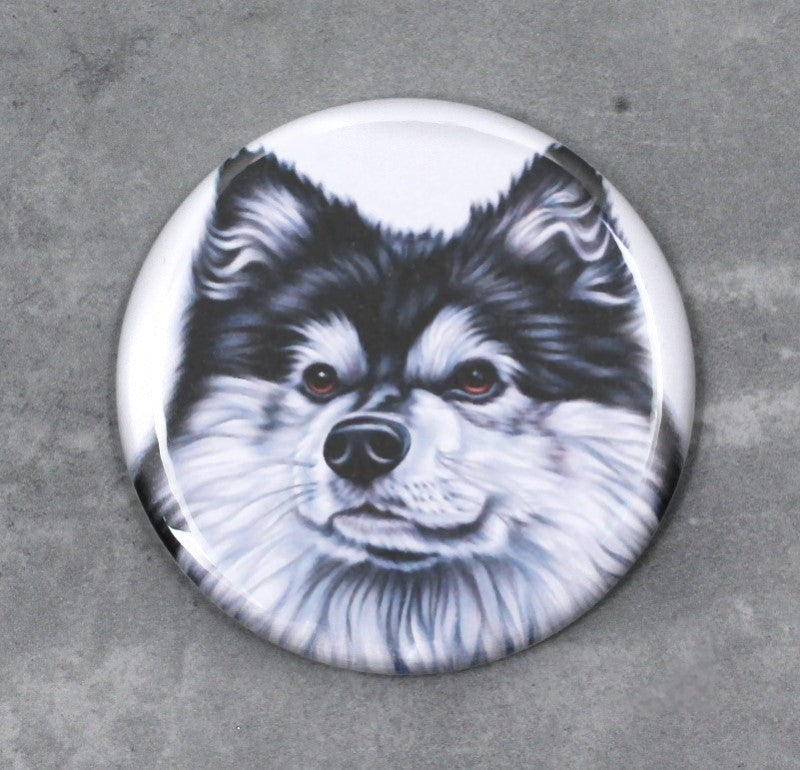 Lapphund / Finsk lapphund - Nappi (Hundraser)