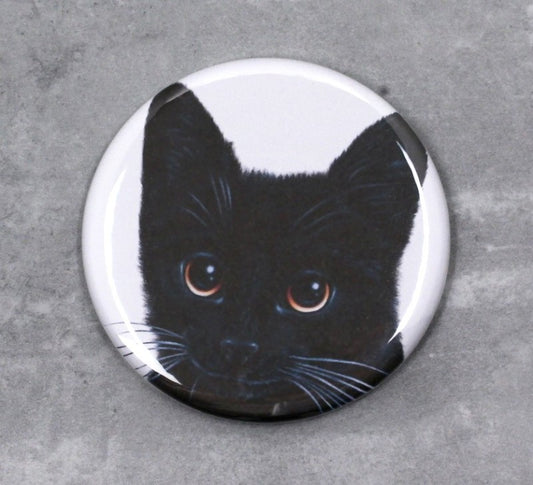 Svart kattknapp (kattraser)