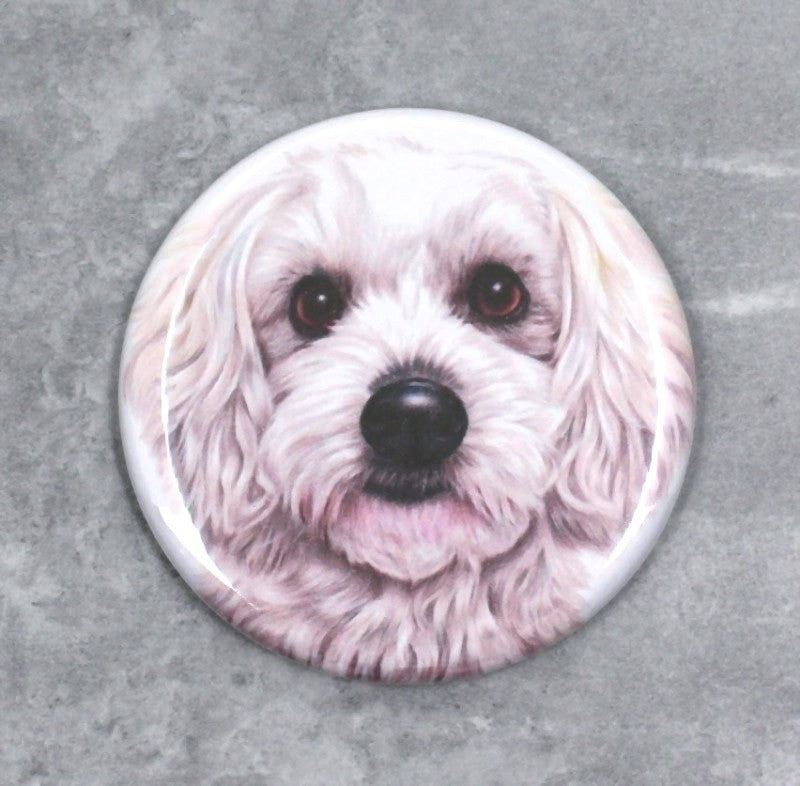 Coton de Tuléar Button (hundraser)